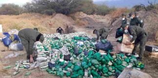 Incineraron hojas de coca y cigarrillos