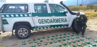 Ocultaban 20 kilos de hojas de coca en un ómnibus