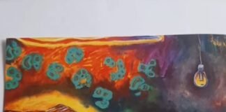 Repudieraron a Cultura por una obra denominada «Asado feminista» excibida en el Museo Laureano Brizuela