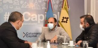Se llevará adelante un plan de poda Gustavo Saadi