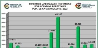 En 11 días de la temporada alta de incendios se consumieron más de 11 mil hectáreas