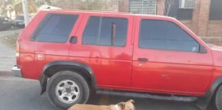 Habría intentado llevarse por la fuerza a un niño y lo arrestaron