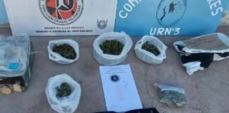BELÉN: Hallaron marihuana en una encomienda