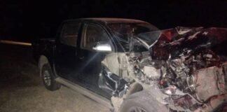 Nuevo siniestro vial con animales sueltos