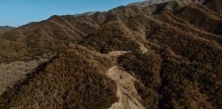 Continúan los trabajos de apertura de camino en Ruta 14