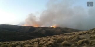 Intenso trabajo para lograr contener los distintos incendios forestales