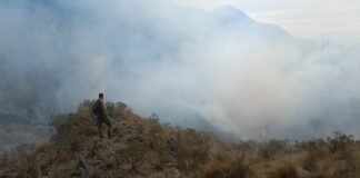 Situación crítica de incendios forestales en los últimos 20 años