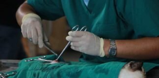 Veterinaria trucha tenia nombramiento en el Ministerio de Agricultura y Ganaderia de la provincia