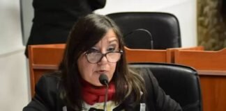Proponen que legisladores y funcionarios judiciales eviten blindarse en los fueros Diputada Cecilia Guerrero