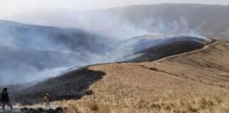 El incendio en Las Chacritas está siendo controlado y aún hay focos