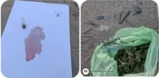 Vieron a la policía y tiraron marihuana por la ventanilla