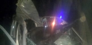Chocó contra un caballo y el animal quedó incrustado dentro de la camioneta