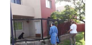 Continúan las acciones contra el Dengue