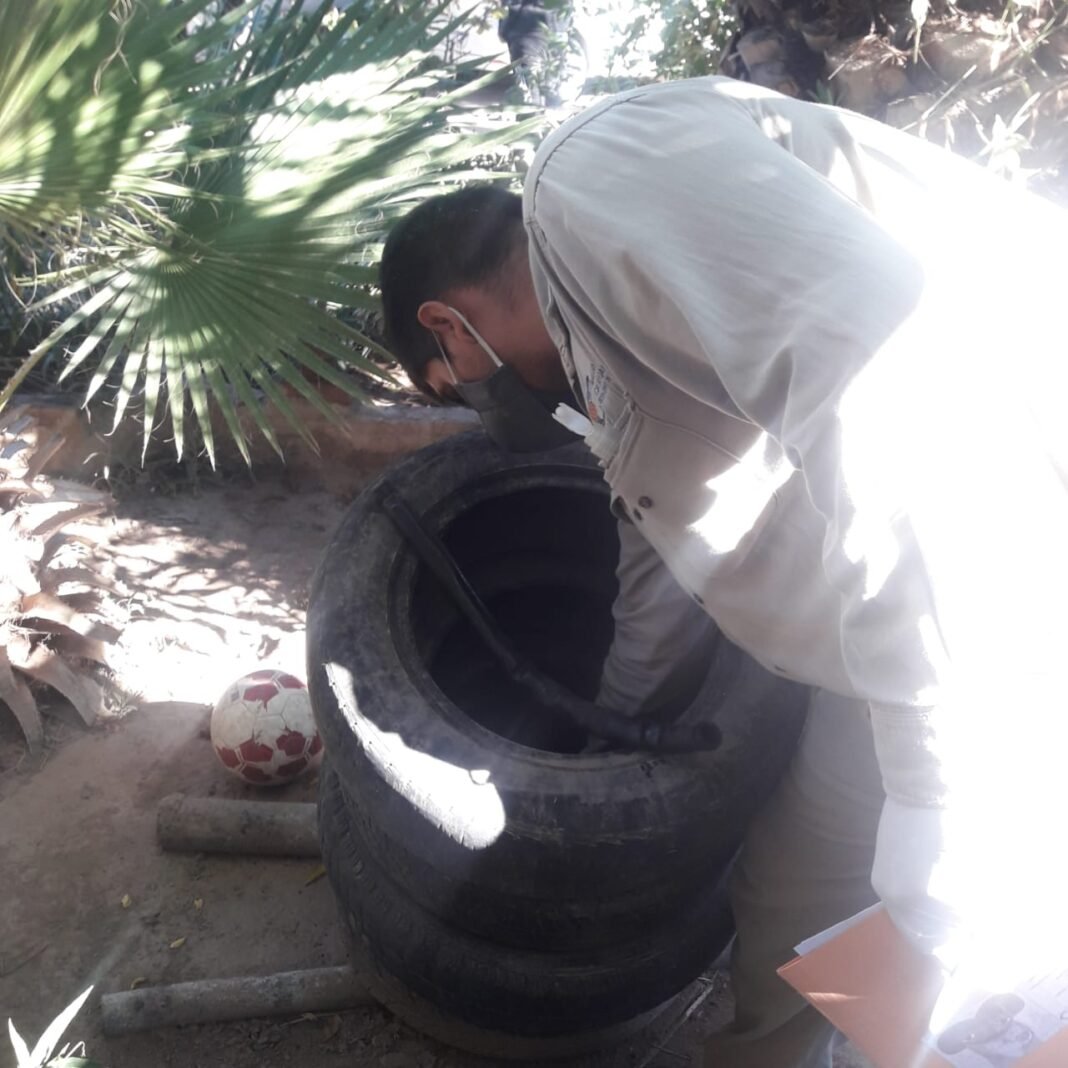 Dengue: cronograma semanal