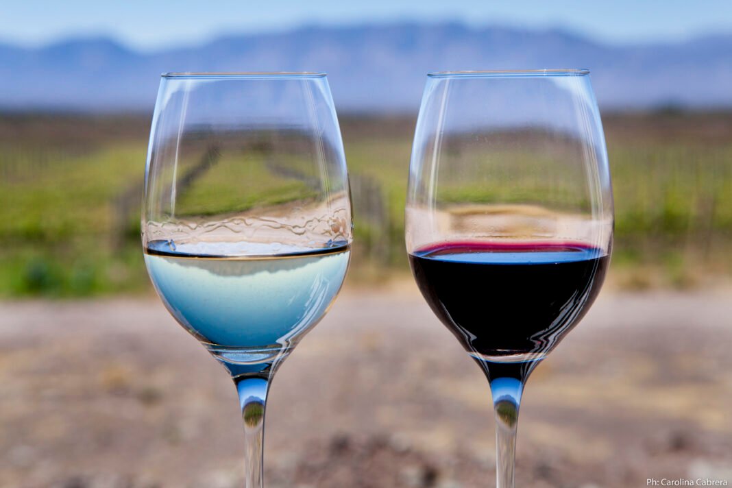 Encuentro Regional del Turismo del Vino en Catamarca