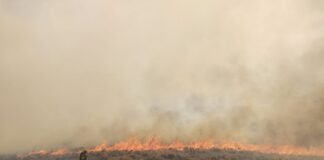 Grave incendio Forestal en el Ambato entre Las Chacritas y Los Narváez