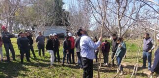 Pospandemia: se realizarán más practicas a campo en el manejo del cultivo del nogal