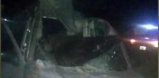 Chocó un caballo en Miraflores
