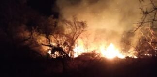 Se activaron nuestros incendios forestales