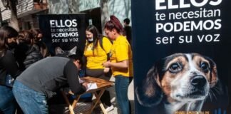 Lanzaron la campaña sobre la ley de Protección y Bienestar Animal