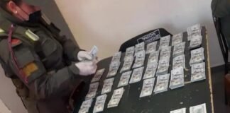 Llevaban 63.000 dólares debajo de la alfombra