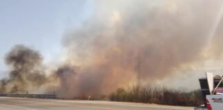 ALERTA: Incendio forestal en Cuesta del Totoral