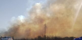 Denuncia penal por los incendios forestales en la provincia