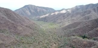 El parque de arrayanes tendrá más de 200 especies de aves