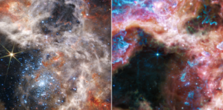 El Telescopio Espacial James Webb captura una imagen de la Nebulosa de la Tarántula