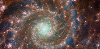 El telescopio espacial James Webb comparte por primera vez una fotografía de un exoplaneta