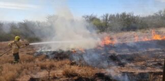 Trabajan para controlar el fuego en El Bolsón, ya consumió 500 hectáreas