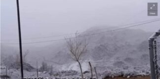 Llegó la nieve al oeste catamarqueño