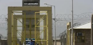 Cayó un grupo de presuntos narcos penitenciarios