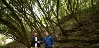 Raúl Jalil y el ministro Cabandié recorrieron la zona del Bosque de Arrayanes