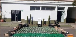 Crecen los secuestros de cubiertas y hojas de coca