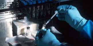 Unos investigadores del MIT utilizan aprendizaje automático e IA para detectar el origen de distintos tipos de cáncer