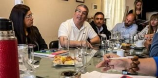 Niéderle minimizó el debate: «La cartelización se da porque hay pocas empresas»