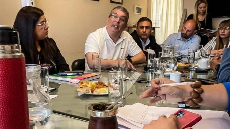 Ministro Niederle, En diputados