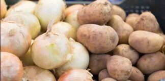 La papa y la cebolla son las verduras más caras en el Mercado de Abasto