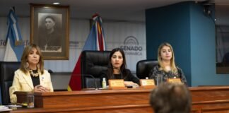 SENADO: Un estatal que sea cesanteado o despedido por violencia de género sería reemplazado por su esposa