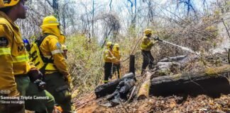 Alta probabilidad de incendios forestales para Catamarca