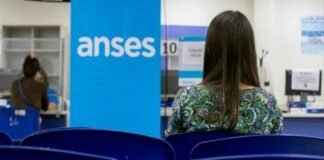 ANSES alerta ante posibles estafas: qué se debe hacer