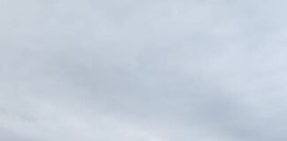 Entregaron elementos para productores de la capital en el primer año del programa «Capital Rural»