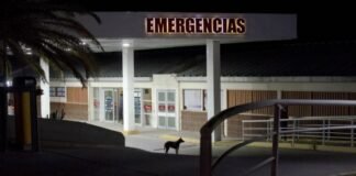 Falleció una joven que se había accidentado en Valle Chico