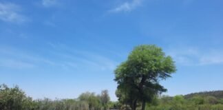 Inició la pavimentación de la Ruta 141 en Capayán