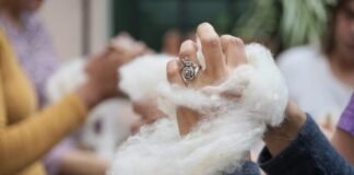 La Capital otorgará 5 millones de pesos para proyectos culturales