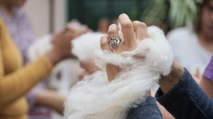 La Capital otorgará 5 millones de pesos para proyectos culturales