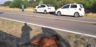 Grave accidente en el ingreso a La Cébila