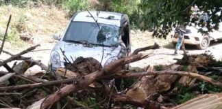 Fuerte viento causó daños en algunas zonas e ingresó un frente frío