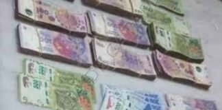 Allanamiento en una casa por causa narco